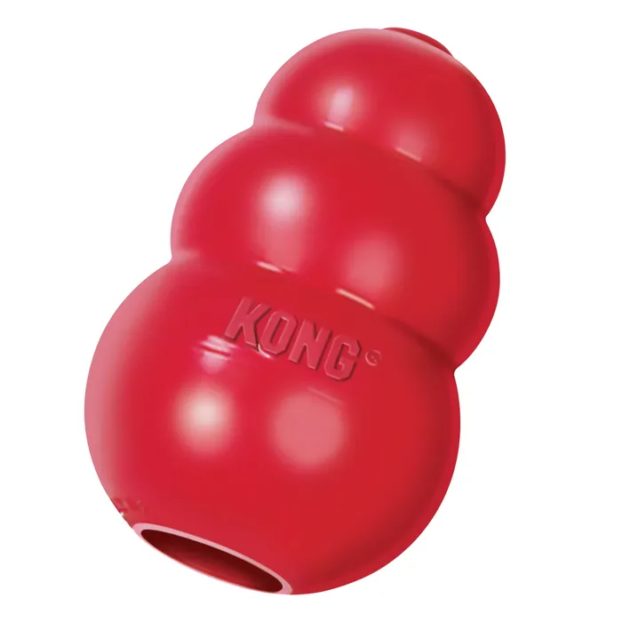 Kong rubber chew toy, large
